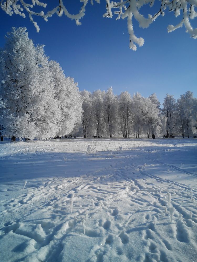 Photograph by Екатерина Познякова