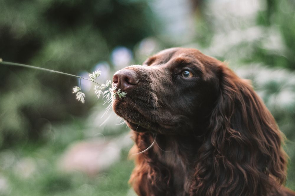 Photograph by Динара Зуйкова