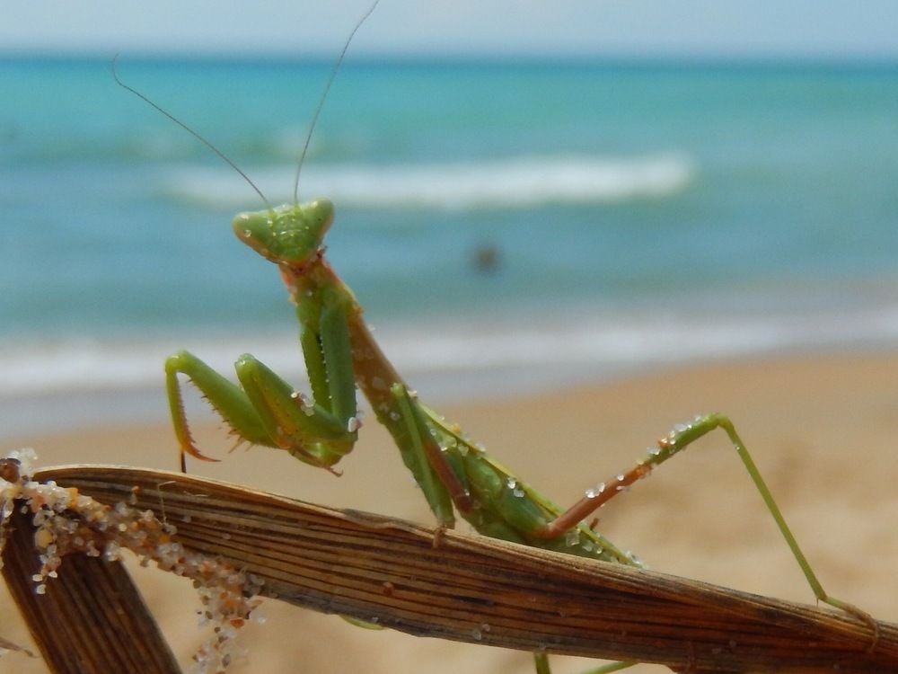 Photograph by Юлия Зеленева