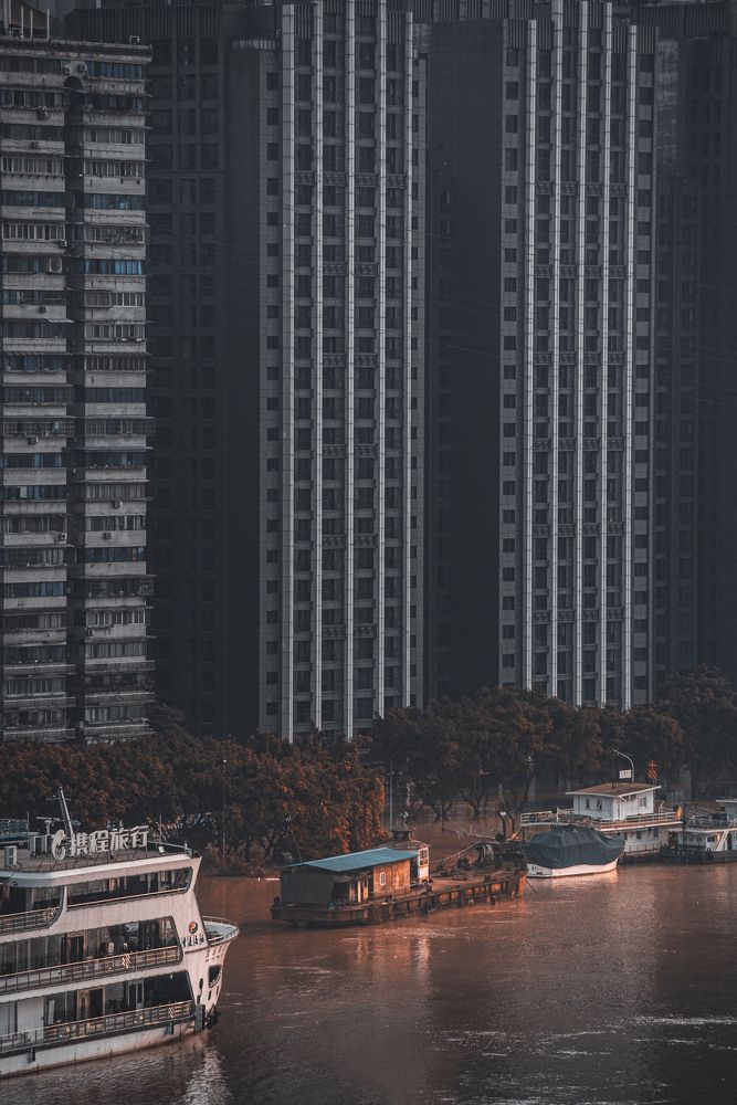 Photograph by Martin S.