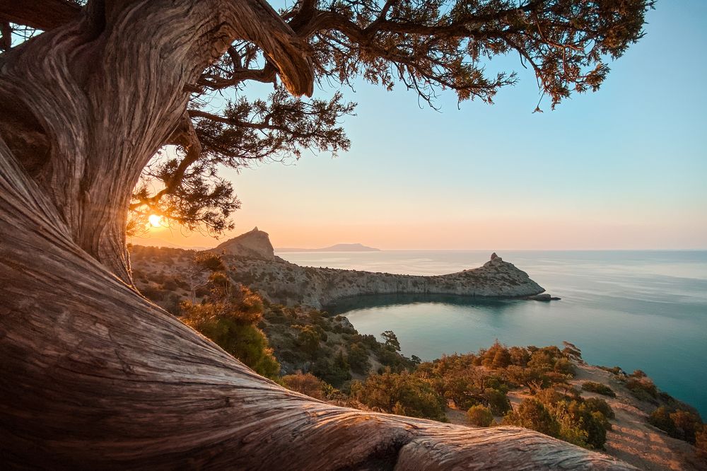 Рассвет в заповедной роще на массиве Караул-Оба