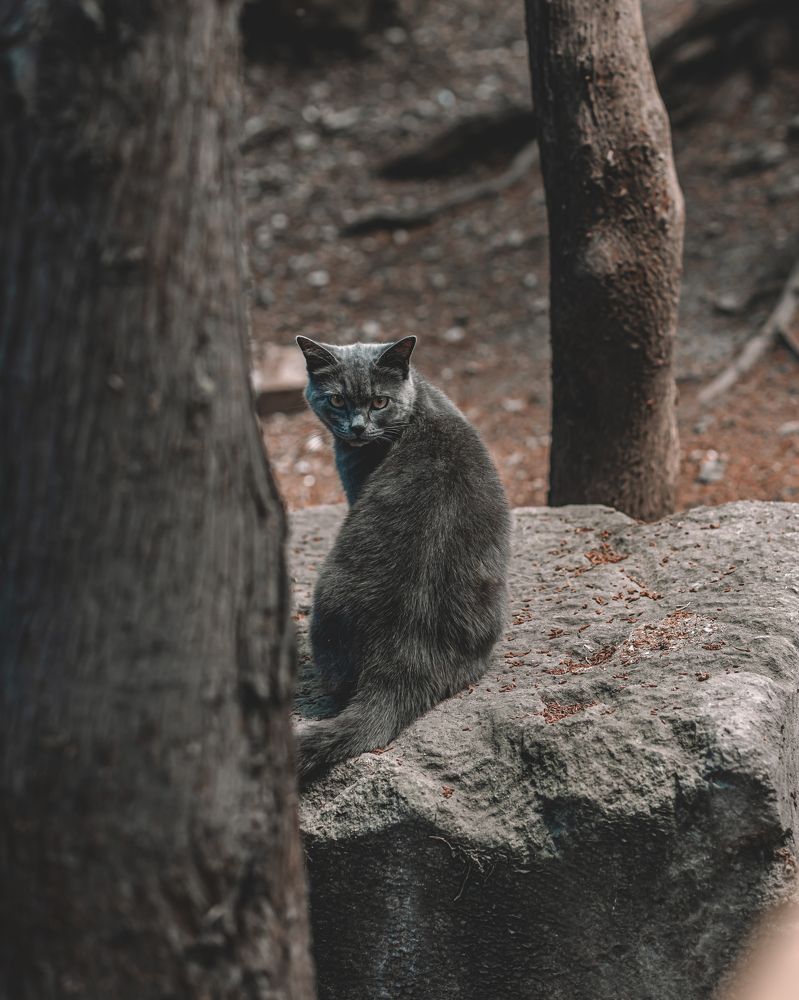 Photograph by Павел Дженбаз