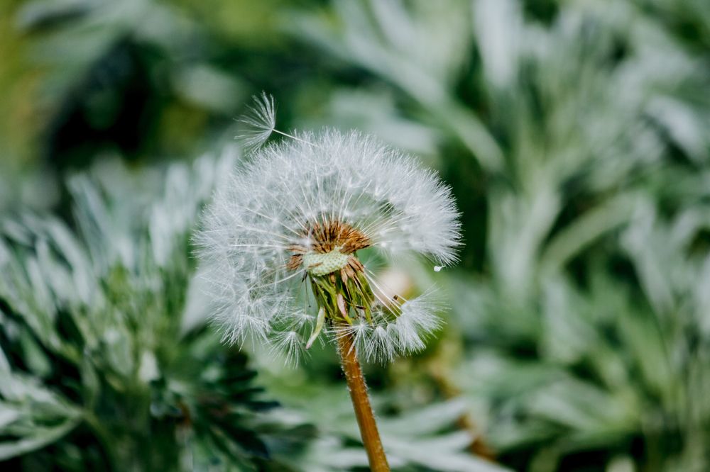 Photograph by Оксана