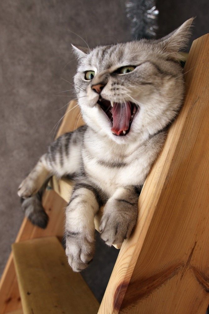 Photograph by Evgeny Pyatkov