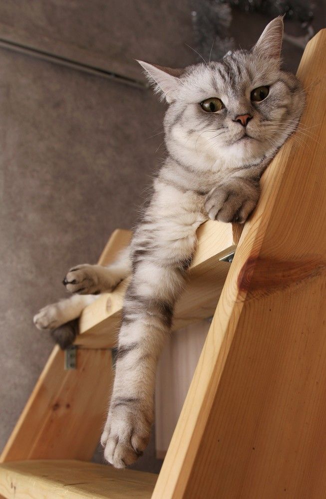 Photograph by Evgeny Pyatkov