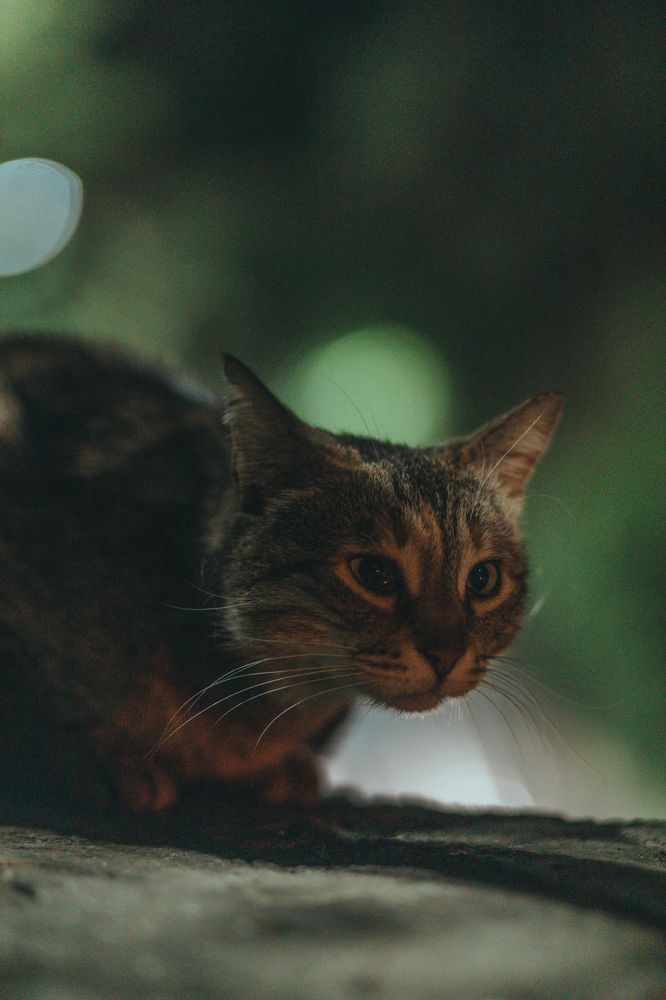 Photograph by Павел Дженбаз