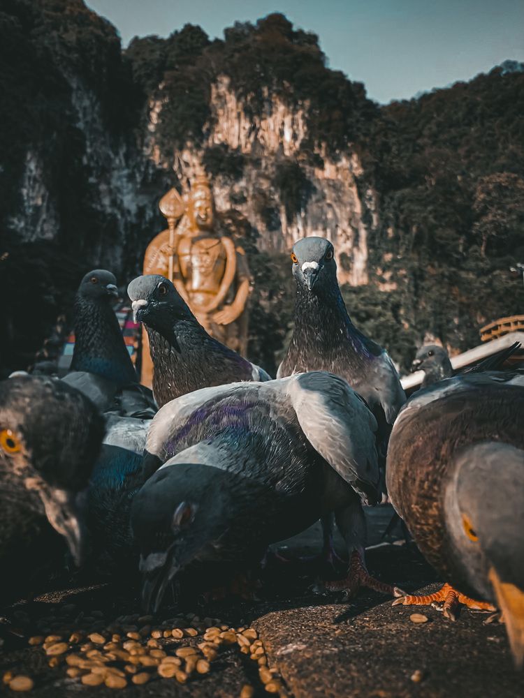 I’m busy eating…