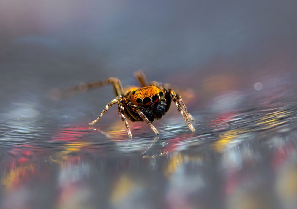 Photograph by Yaniv Abramovitz