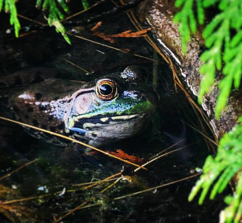 Photograph by Sharon Sabharwal