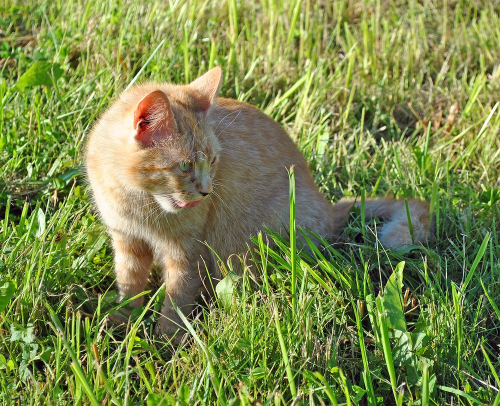 Photograph by Алексей