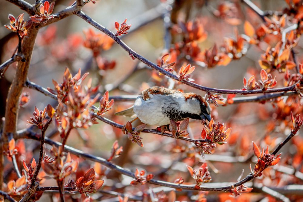 Photograph by Оксана