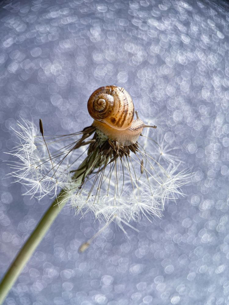 Созерцая прекрасное