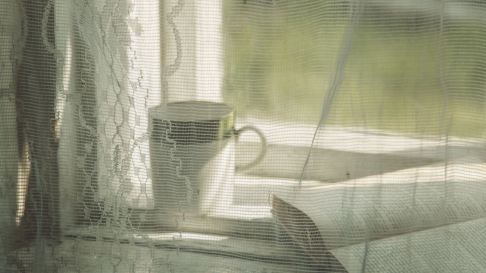 Каникулы в деревне