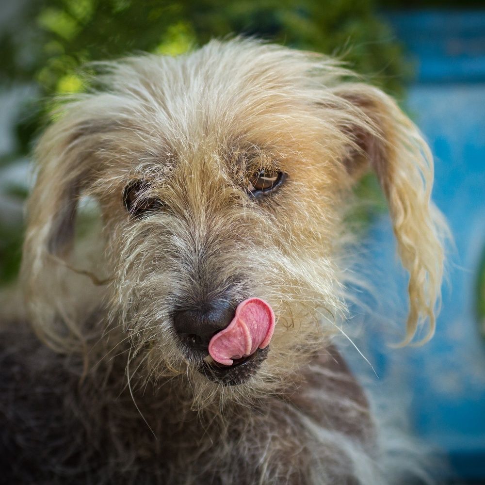 Photograph by Harald Ferber