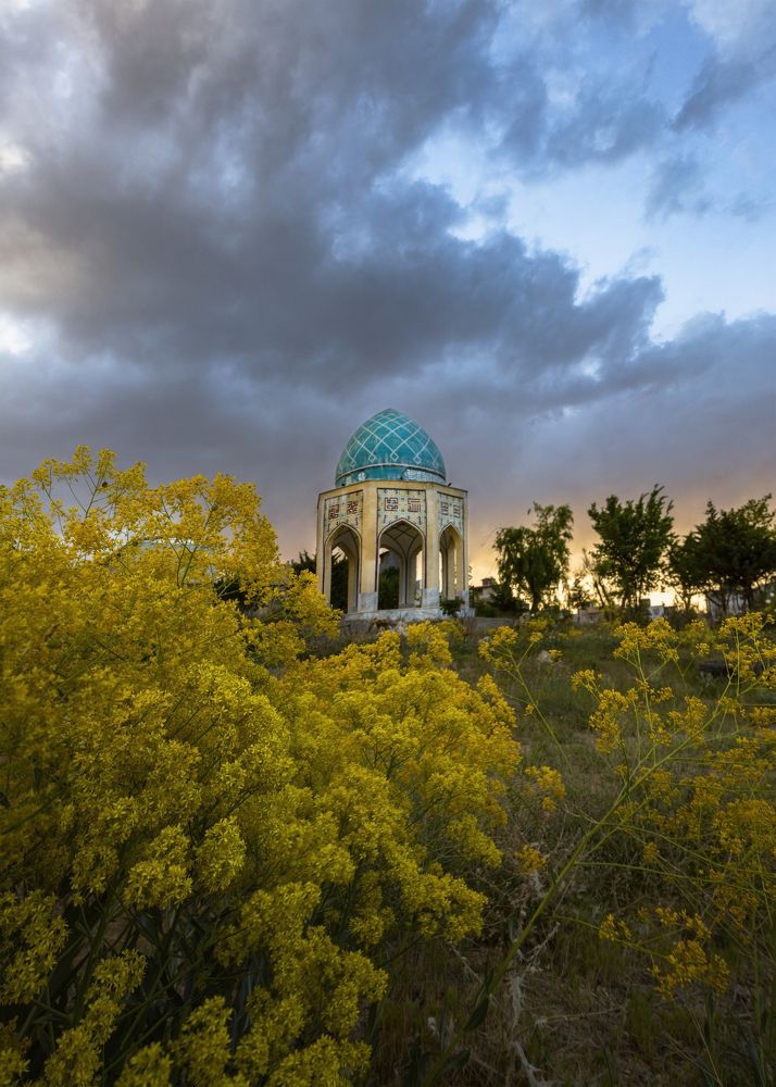 Фотография автора majid arab