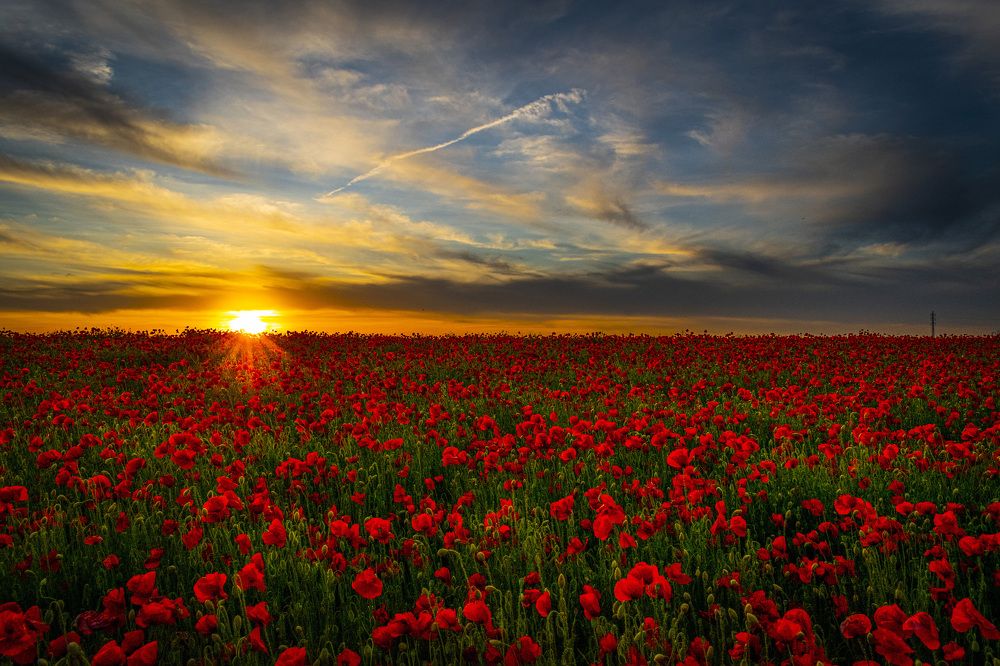 Photograph by Mieke Vandecaetsbeek