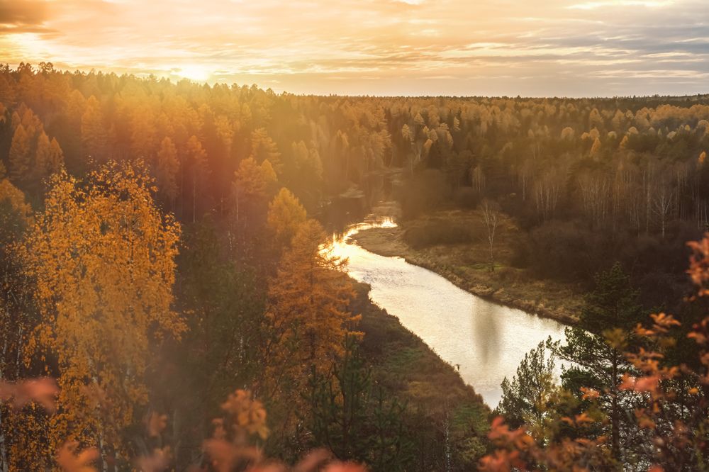 Photograph by Ольга Ильина