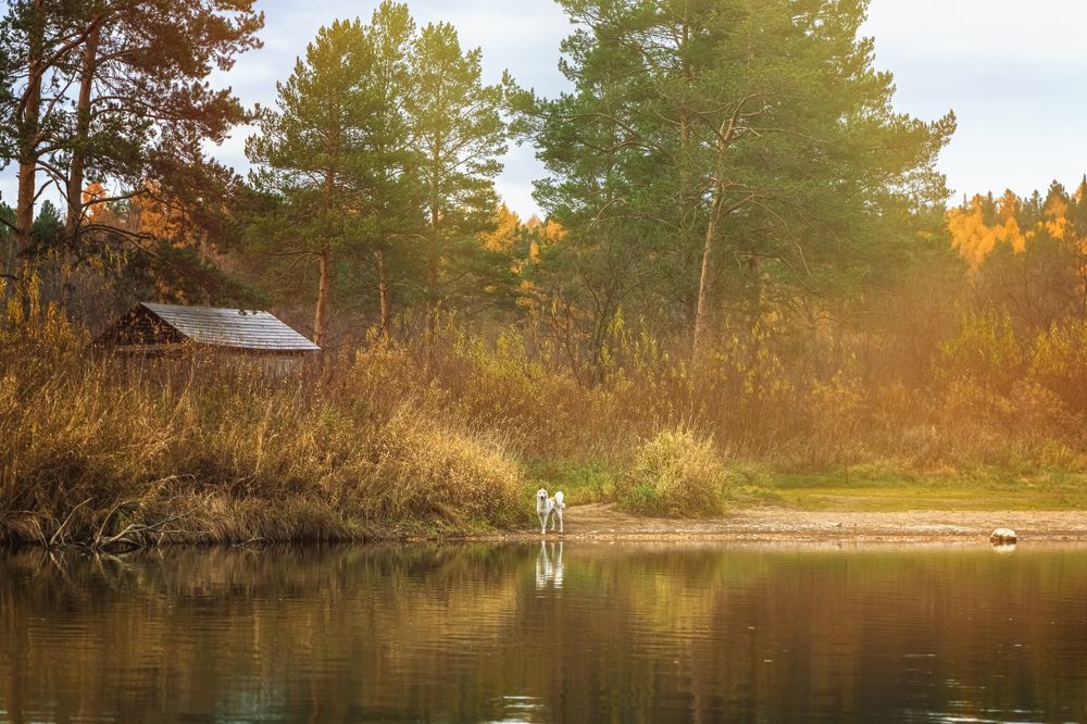 Photograph by Ольга Ильина