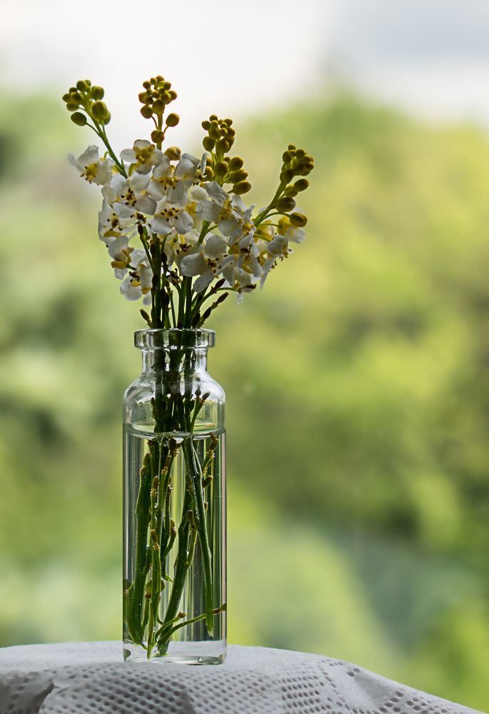 Photograph by Elena Lopatina