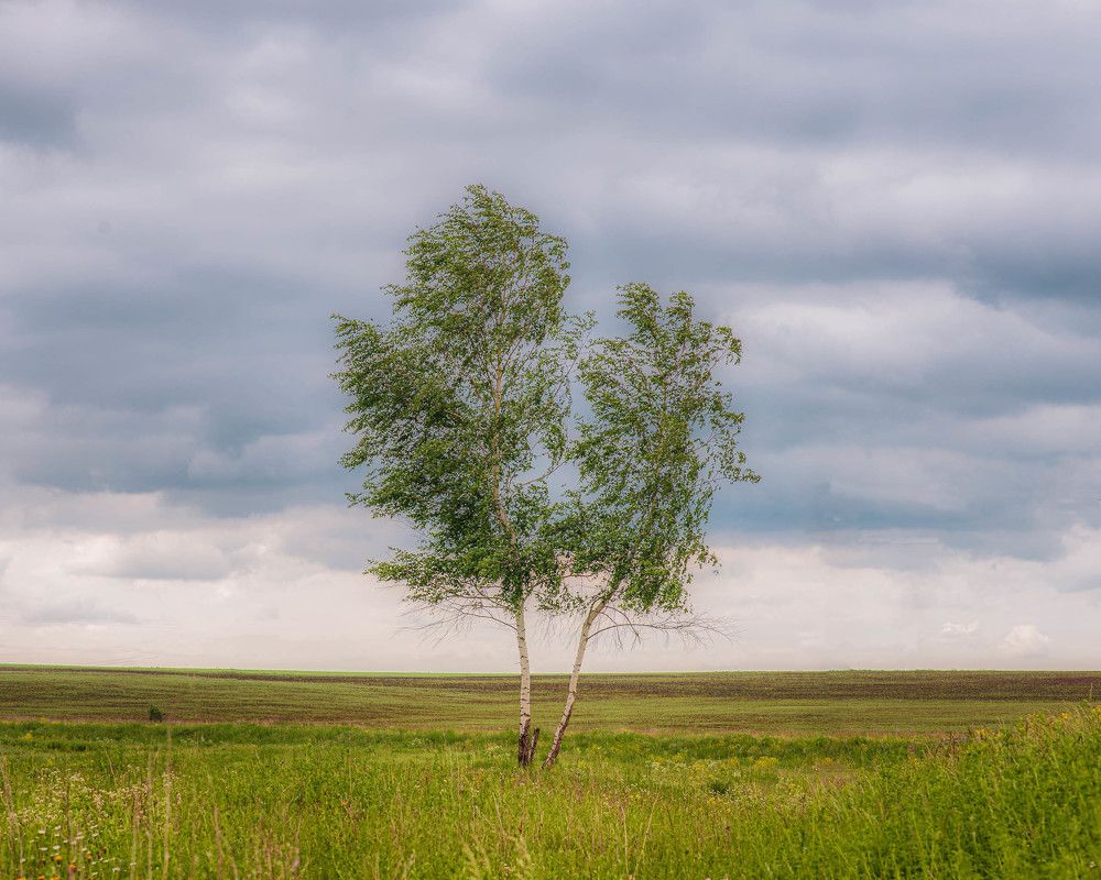 Photograph by Дмитрий Седов