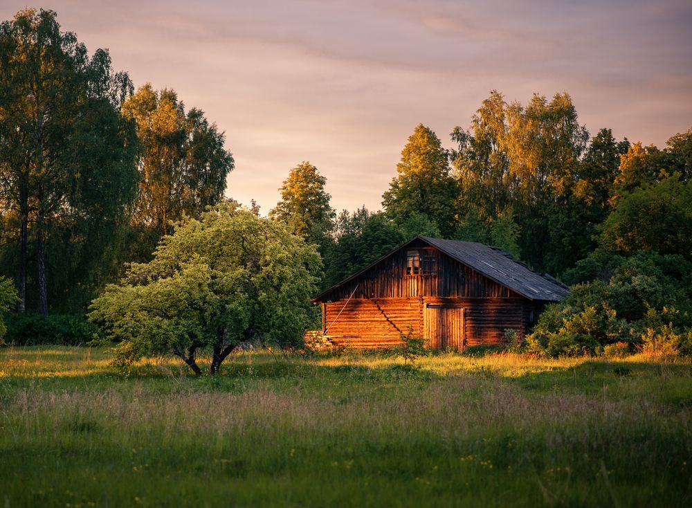 Photograph by Дмитрий Седов