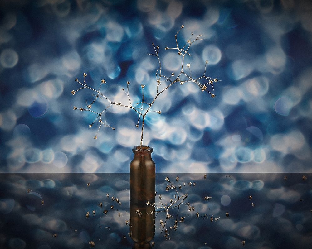 Photograph by Анатолий