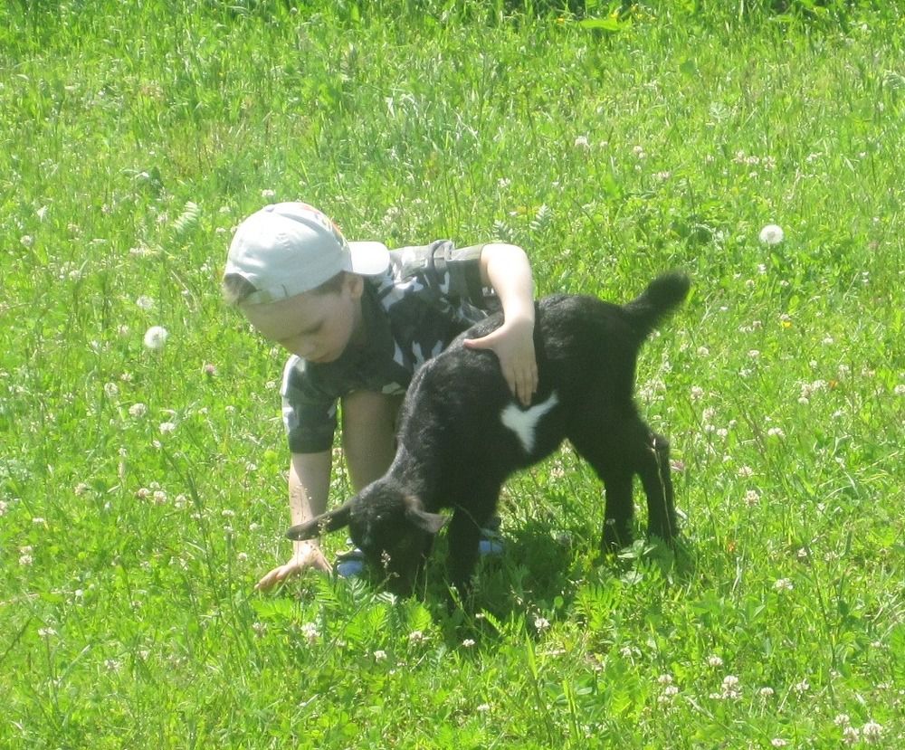 Photograph by Елена Лепешкина