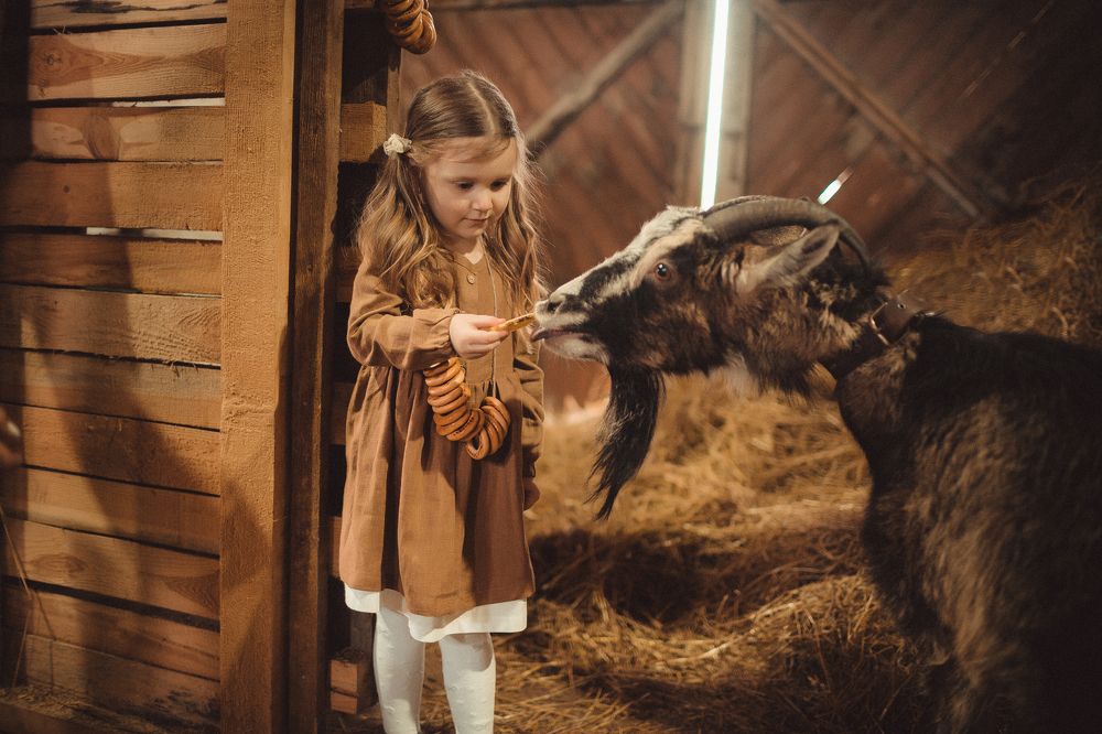 Photograph by Татьяна Бушук