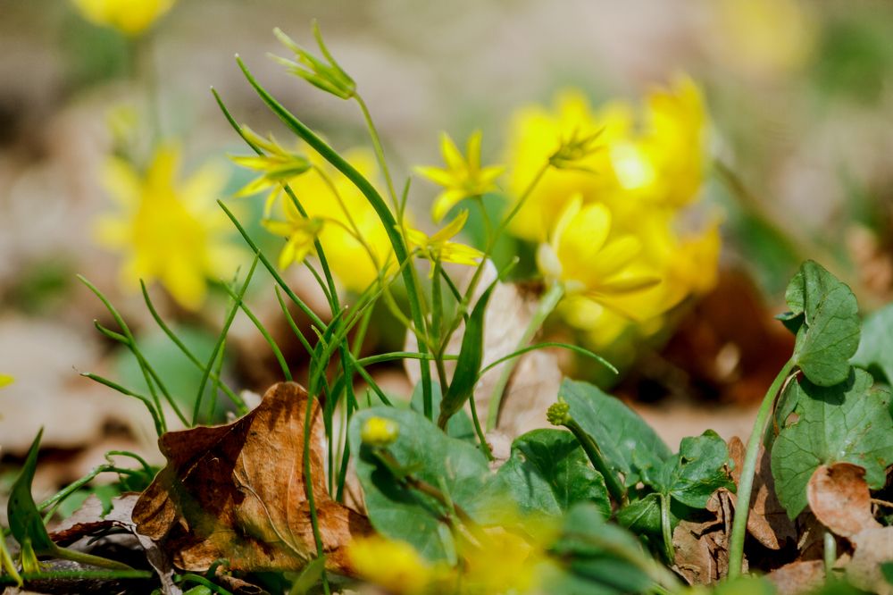 Photograph by Оксана