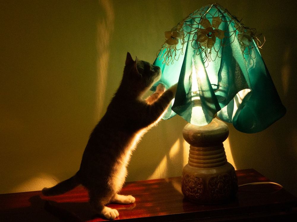 Photograph by Аля Кнастер
