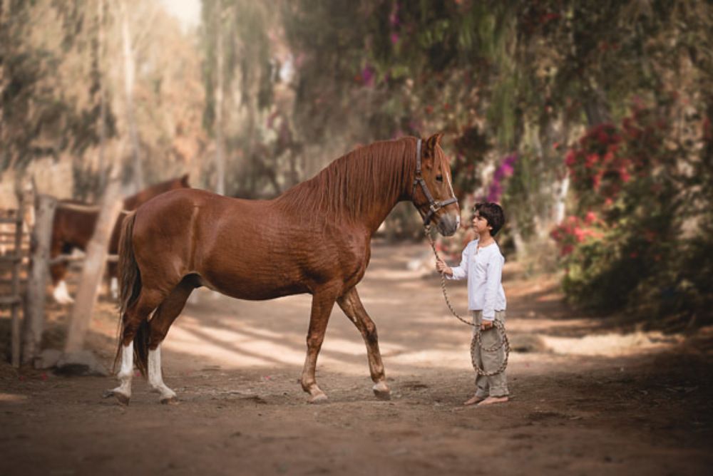 Photograph by Duharte Marie