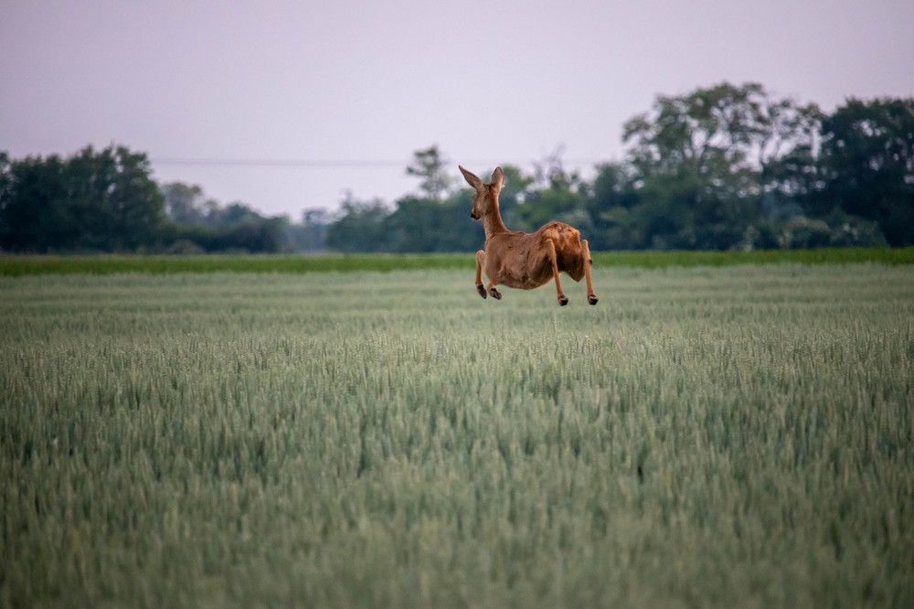 Photograph by Ľuboš Pítek