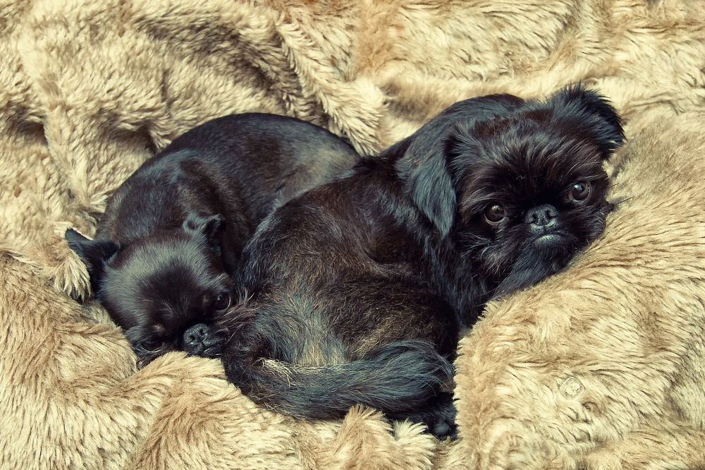 Photograph by Серш Сергей