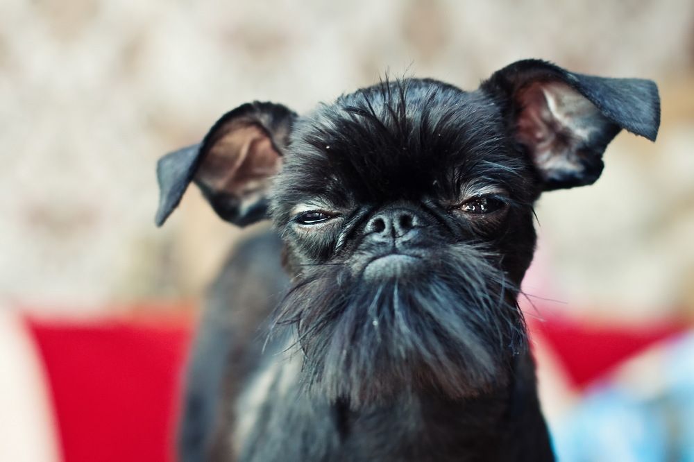 Photograph by Серш Сергей