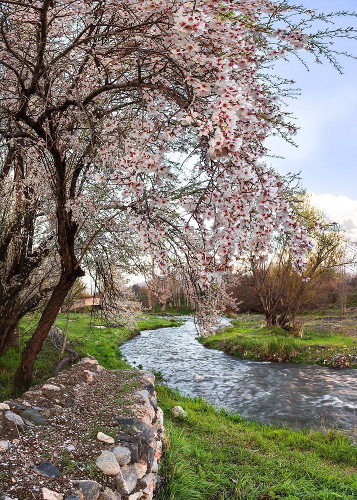 Фотография автора majid arab