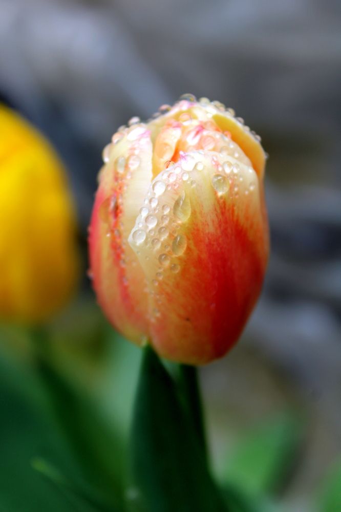 Photograph by Николай Немчанинов