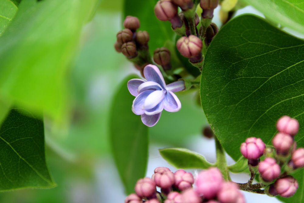 Photograph by Николай Немчанинов