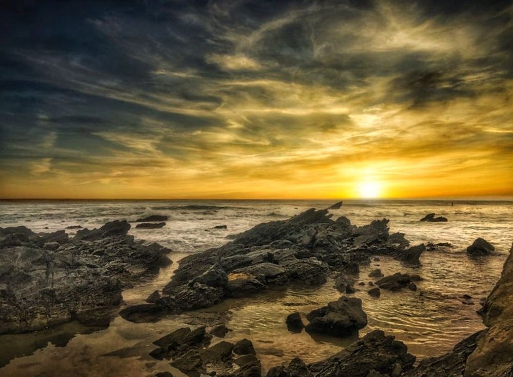 Photograph by Alfredo Fresán