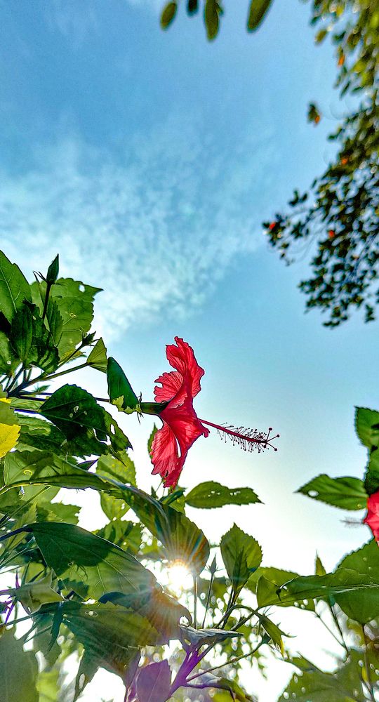 Photograph by MJ Neeraj