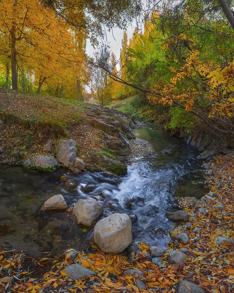 Фотография автора majid arab