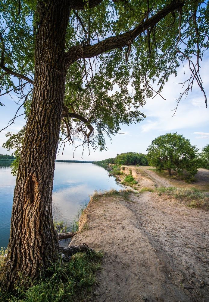 Photograph by Евгений Нагорский