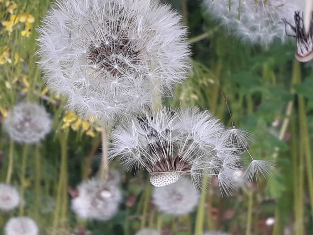 Photograph by Валерий