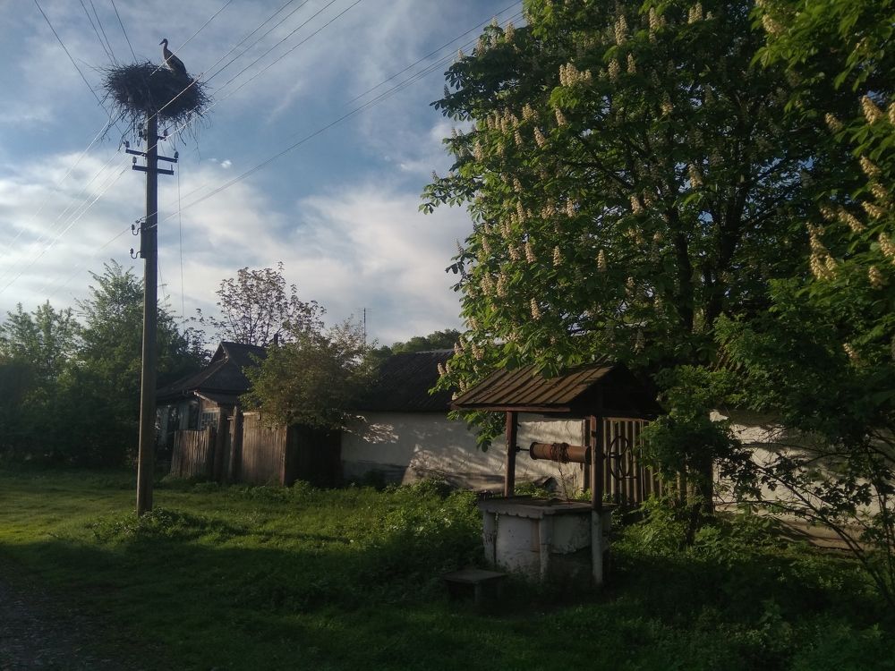 Photograph by Галина Лысых