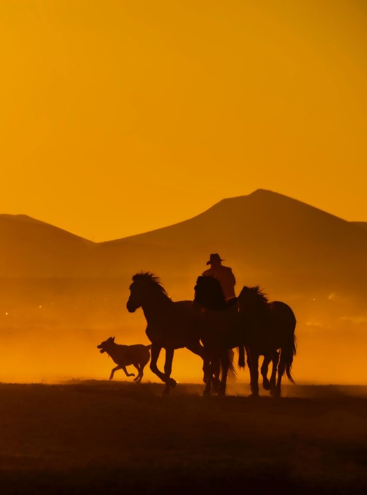 Photograph by Ugur Ozogul