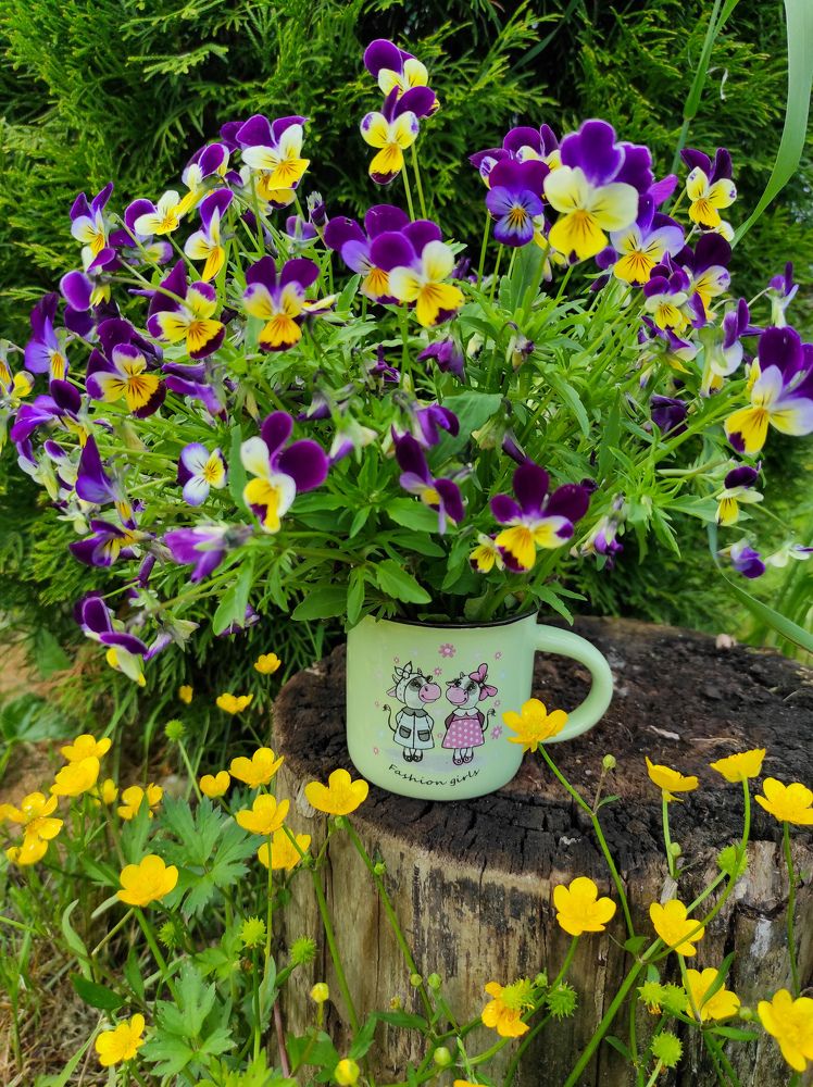 Фотография автора Марина Гусева