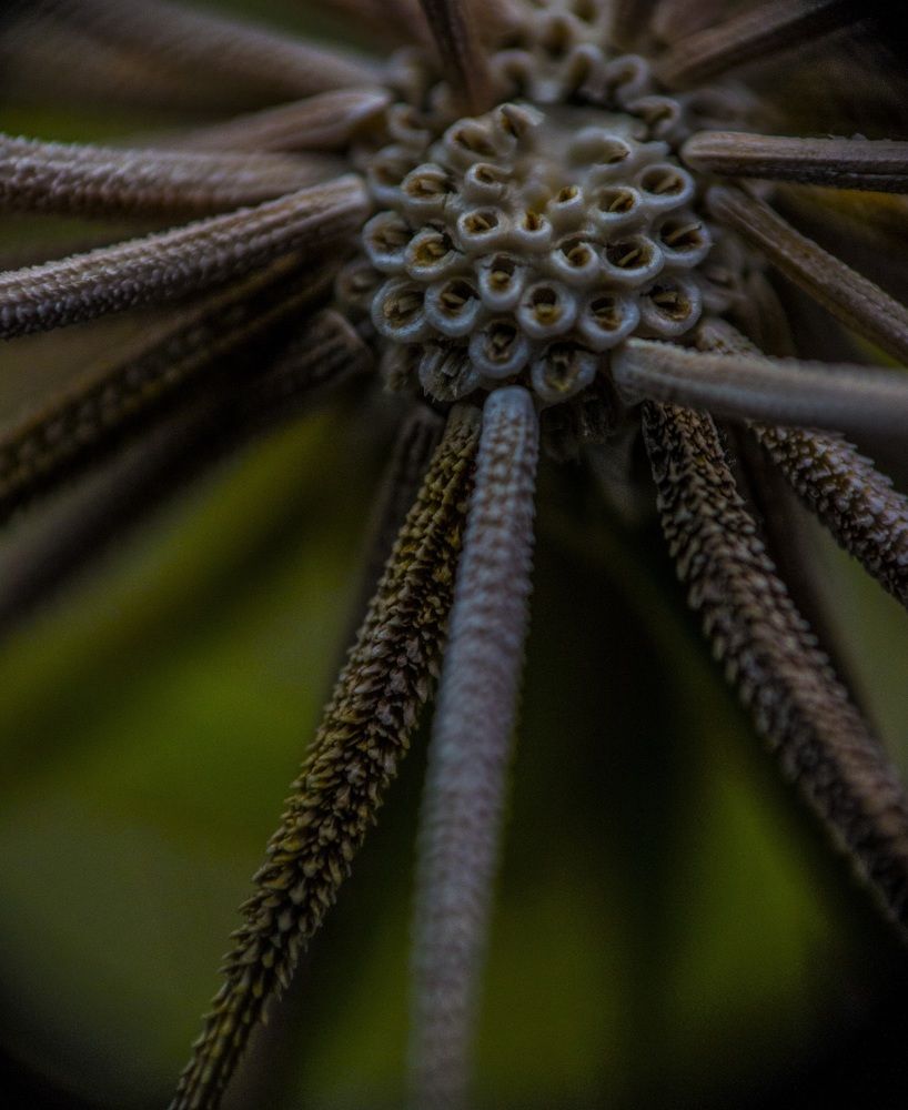 Photograph by Евгения Михайлова