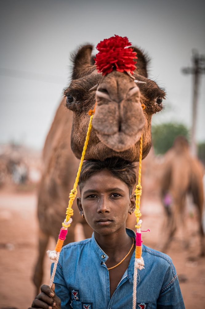 Photograph by Ashwani Thurwal