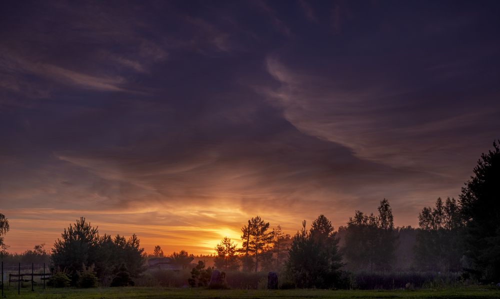 Photograph by Sandra