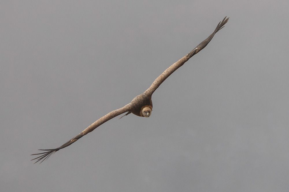 Photograph by Сергей Фадин