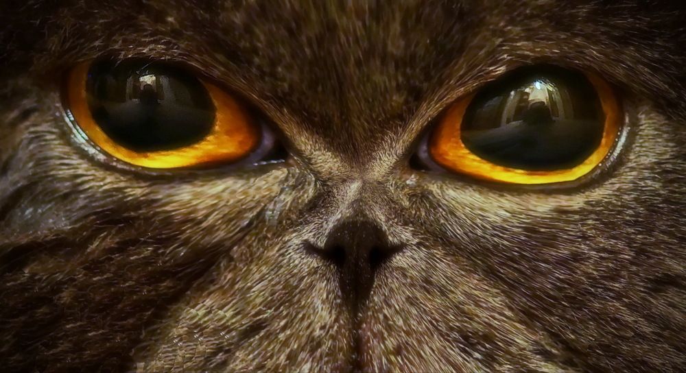 Photograph by Евгений Жиляев